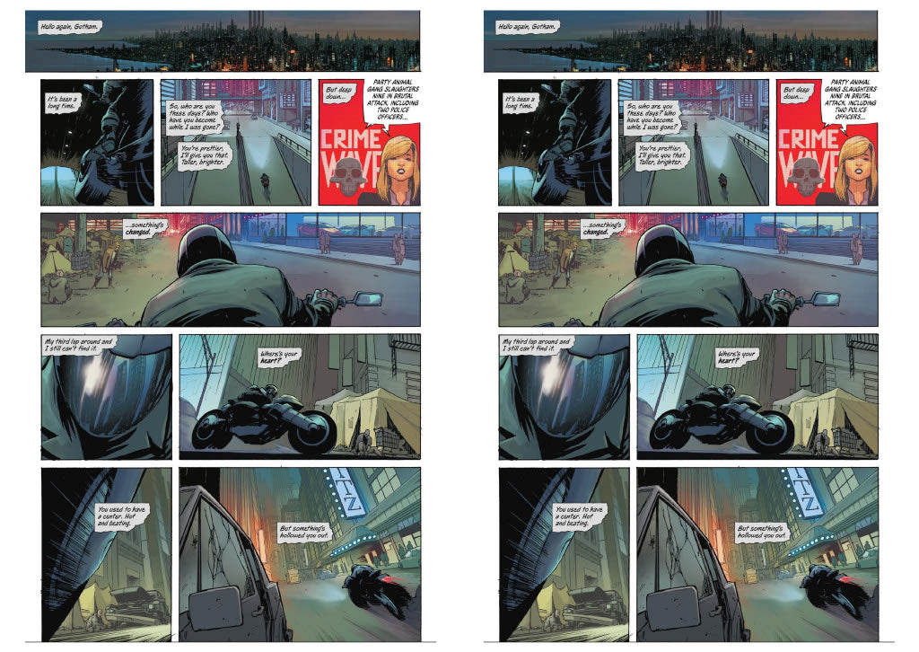Absolute Batman Vol. 1: The Zoo preview 10