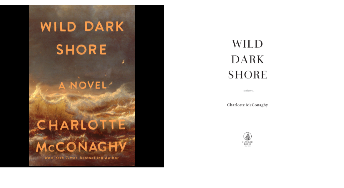 Wild Dark Shore preview 1